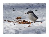 ***
Фотограф: Сергей Буркацкий

Просмотров: 1167
Комментариев: 0