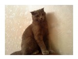 непонятненько

Просмотров: 3652
Комментариев: 