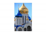 4а

Просмотров: 673
Комментариев: 0