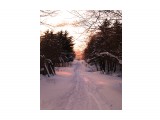 P1097669в

Просмотров: 533
Комментариев: 