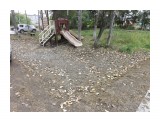 Для детей Поронайска  (1)...
Для детей Поронайска от Администрации городского округа (1)

Просмотров: 2775
Комментариев: 2