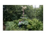 Травка борщевик.. 4 м высотой
Фотограф: vikirin

Просмотров: 2121
Комментариев: 1