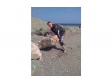 Название: Фото0361
Фотоальбом: Разное
Категория: Люди

Фотокамера: Nokia - 6500c



Просмотров: 1268
Комментариев: 0