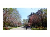 DSC09359
Сакура цветёт.

Просмотров: 300
Комментариев: 0