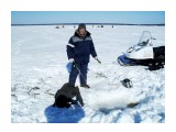 Зимняя рыбалка на Лунском..
Фотограф: vikirin

Просмотров: 2582
Комментариев: 0