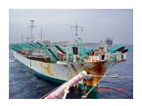 CIMG2880

Просмотров: 5016
Комментариев: 0