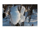 В снежной стране...
Фотограф: vikirin

Просмотров: 2937
Комментариев: 0