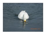 DSCN0996

Просмотров: 3043
Комментариев: 0