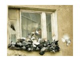 Фото 949
Фотограф: Сергей Буркацкий

Просмотров: 655
Комментариев: 0