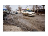 022
Фотограф: Sv_Nataliya

Просмотров: 680
Комментариев: 0