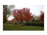 023-к

Просмотров: 483
Комментариев: 0