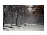 Название: DSC_0101 (копия)
Фотоальбом: разное
Категория: Природа

Время съемки/редактирования: 2013:11:24 15:28:36
Фотокамера: NIKON CORPORATION - NIKON D50
Диафрагма: f/4.8
Выдержка: 1/160
Фокусное расстояние: 500/10



Просмотров: 1074
Комментариев: 0