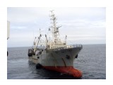 атлант. (2)

Просмотров: 5354
Комментариев: 0