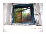 Название: дайте мне свободу
Фотоальбом: Разное
Категория: Животные

Время съемки/редактирования: 2007:06:21 15:28:25
Фотокамера: CASIO COMPUTER CO.,LTD. - EX-Z1000   
Диафрагма: f/2.8
Выдержка: 1/60
Фокусное расстояние: 790/100



Просмотров: 955
Комментариев: 3
