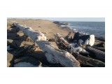 777

Просмотров: 230
Комментариев: 