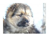 вы о чем ?

Просмотров: 3824
Комментариев: 4
