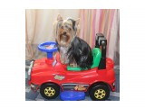 IMG_2766