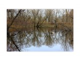 IMG_1571

Просмотров: 2526
Комментариев: 0