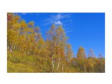140-к

Просмотров: 671
Комментариев: 0