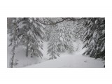 Название: DSC01466
Фотоальбом: В тайге (02.01.12 - 06.01.12)
Категория: Рыбалка, охота

Время съемки/редактирования: 2012:01:18 09:49:40
Фотокамера: SONY - DSC-H20
Диафрагма: f/3.5
Выдержка: 10/400
Фокусное расстояние: 63/10
Светочуствительность: 80


Просмотров: 1020
Комментариев: 0