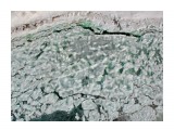 Хрупкий лёд...
Фотограф: Tsygankov Yuriy

Просмотров: 798
Комментариев: 0