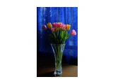036-к_5

Просмотров: 674
Комментариев: 0