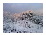 Первый снег 29 октября.. Пушистое утро
Фотограф: vikirin

Просмотров: 3493
Комментариев: 0