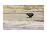 ***
Фотограф: Сергей Буркацкий

Просмотров: 1406
Комментариев: 0
