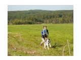 Шустрые лапы - 2014
Фотограф: фотохроник

Просмотров: 523
Комментариев: 0