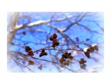 ольховник

Просмотров: 2718
Комментариев: 0