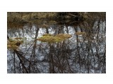 Весенние разливы..
Фотограф: vikirin

Просмотров: 2548
Комментариев: 0