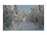 Название: IMG_6936S
Фотоальбом: 4 ноября - пока вы спите дома, мы ездим в красоту.
Категория: Авто, мото

Время съемки/редактирования: 2010:11:04 14:23:26
Фотокамера: Canon - Canon EOS 40D
Диафрагма: f/13.0
Выдержка: 1/400
Фокусное расстояние: 85/1
Светочуствительность: 200


Просмотров: 1219
Комментариев: 1